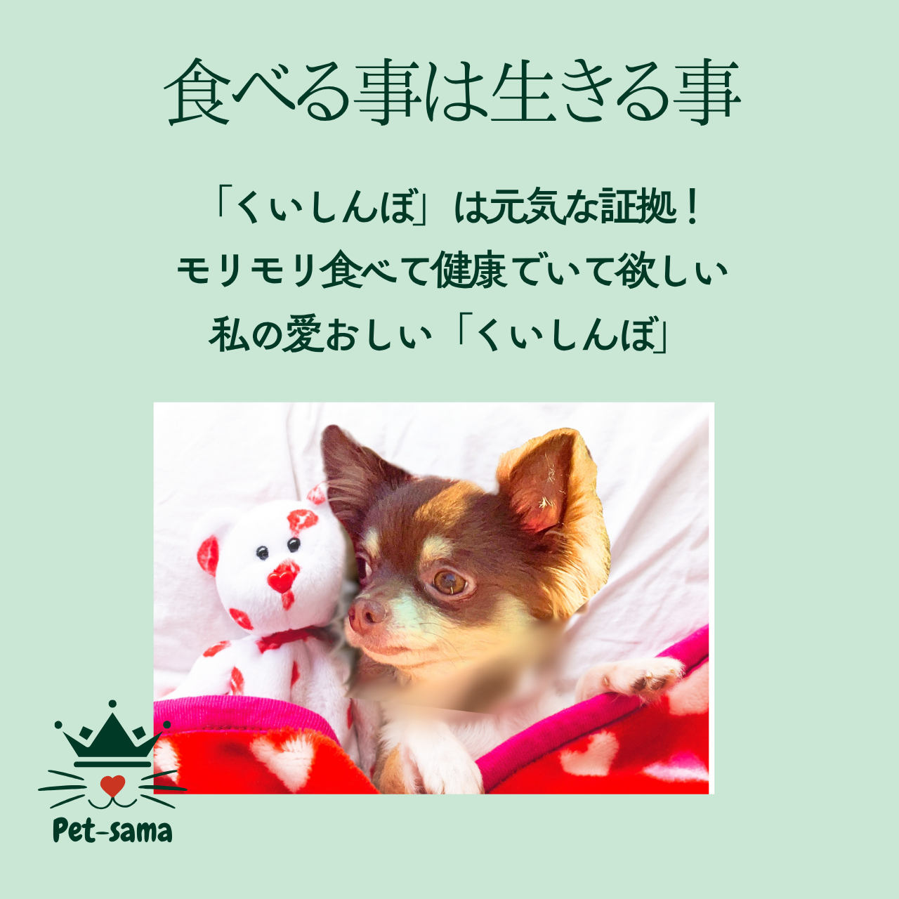 猪馳（ちょち）猪肉ジャーキー15ｇ×5袋