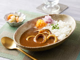 イカカレー6箱セット