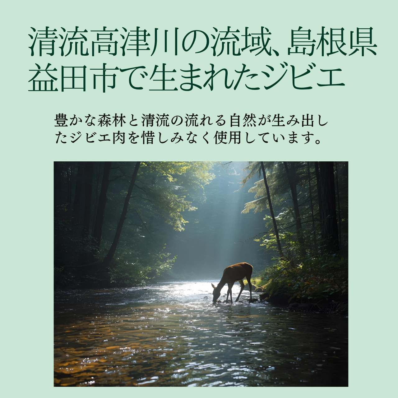 命芯（めいしん）猪心臓ジャーキー15ｇ×5袋