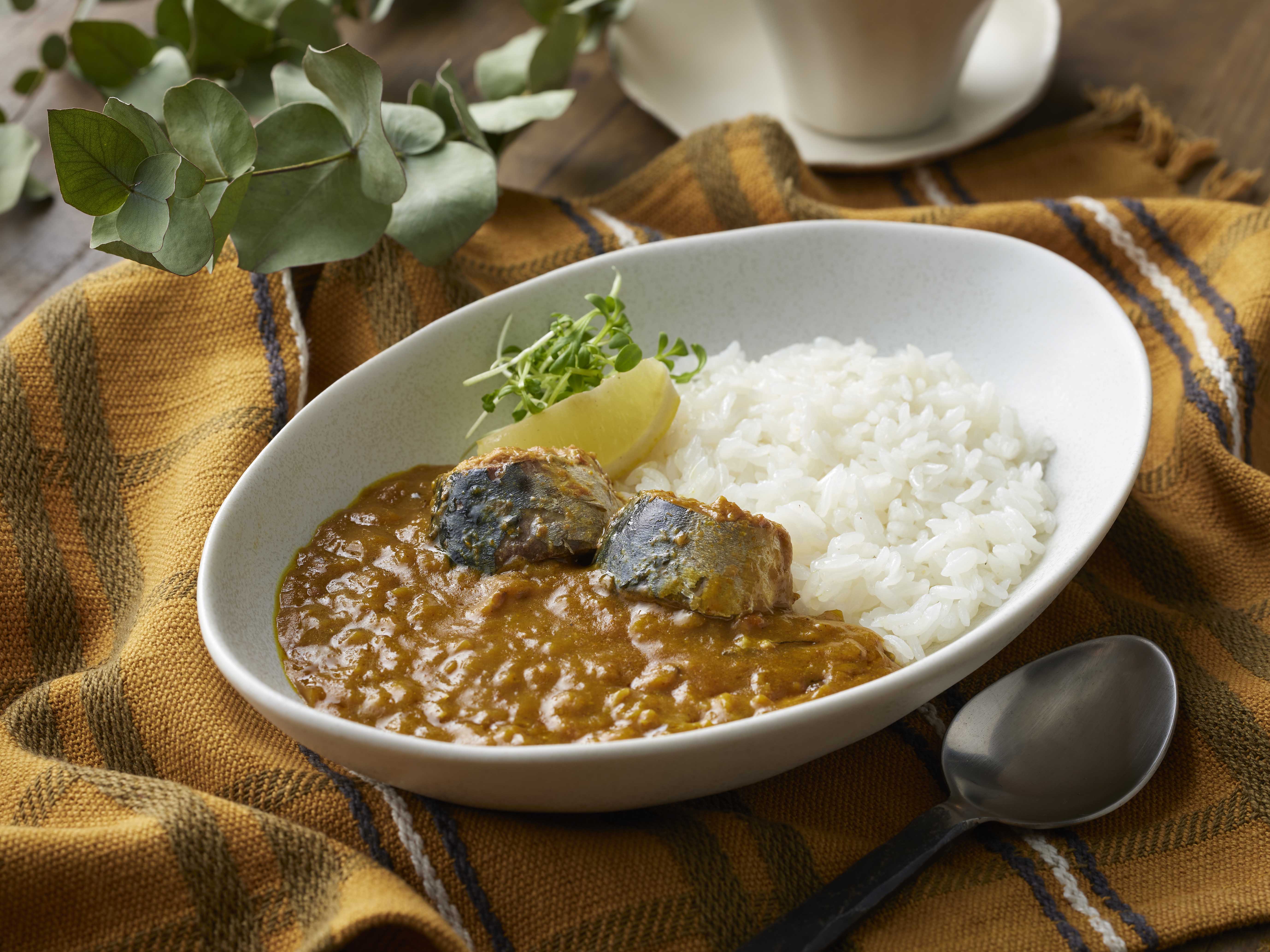 サバカレー6箱セット