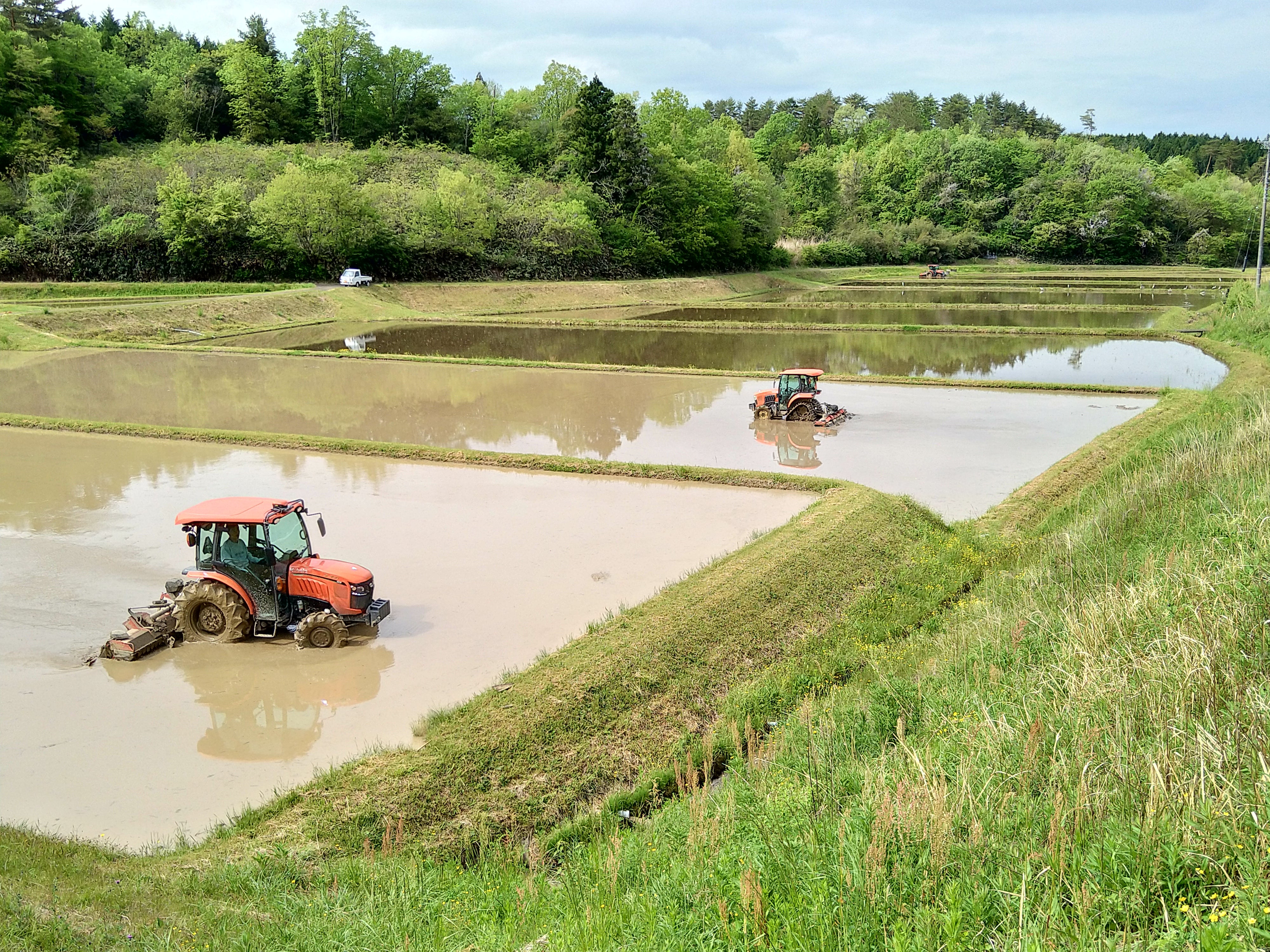 特別栽培米秘境奥島根弥栄つや姫　５ｋｇ