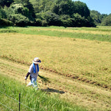 特別栽培米秘境奥島根弥栄つや姫　５ｋｇ