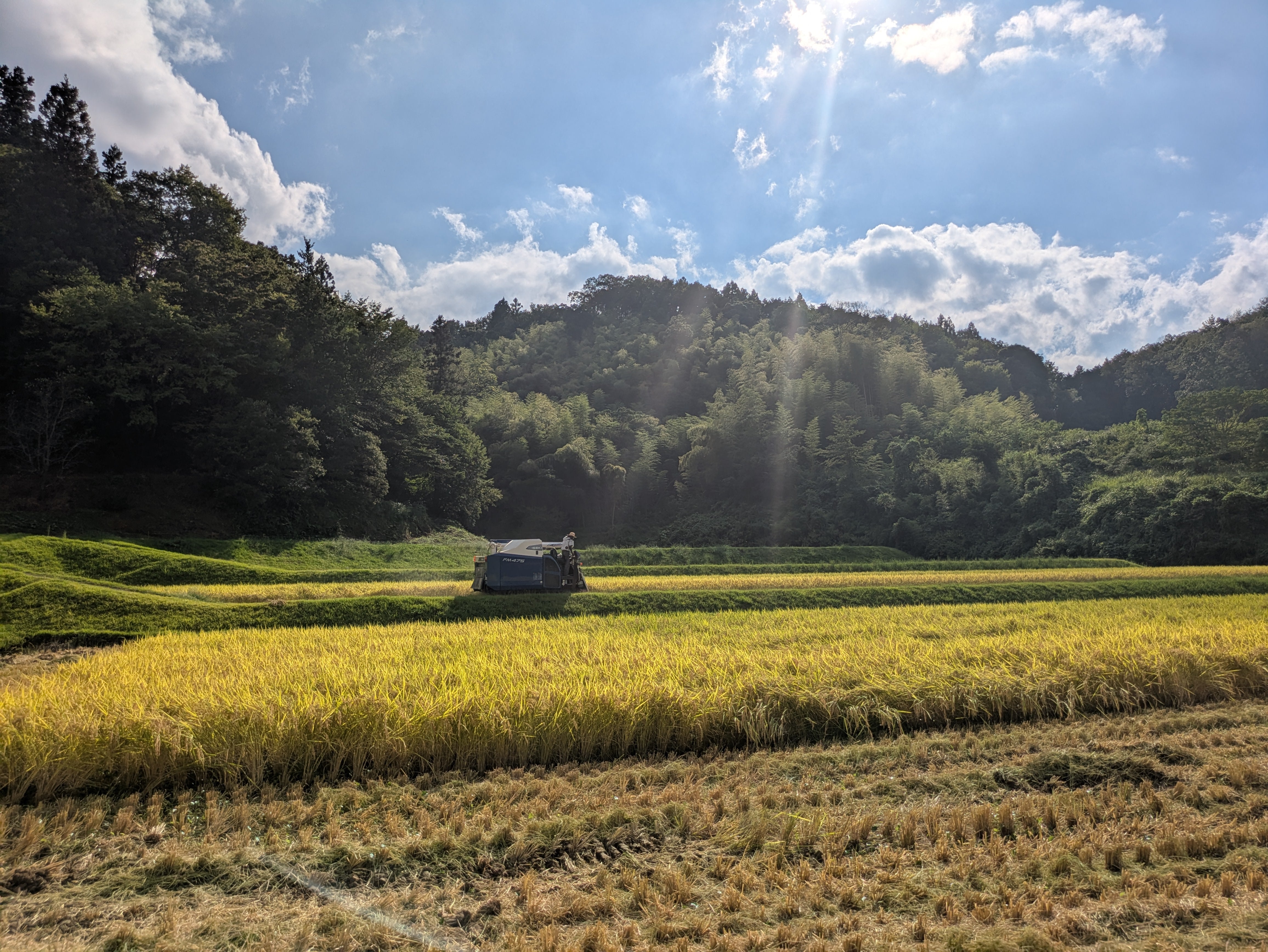 特別栽培米秘境奥島根弥栄つや姫　１０ｋｇ