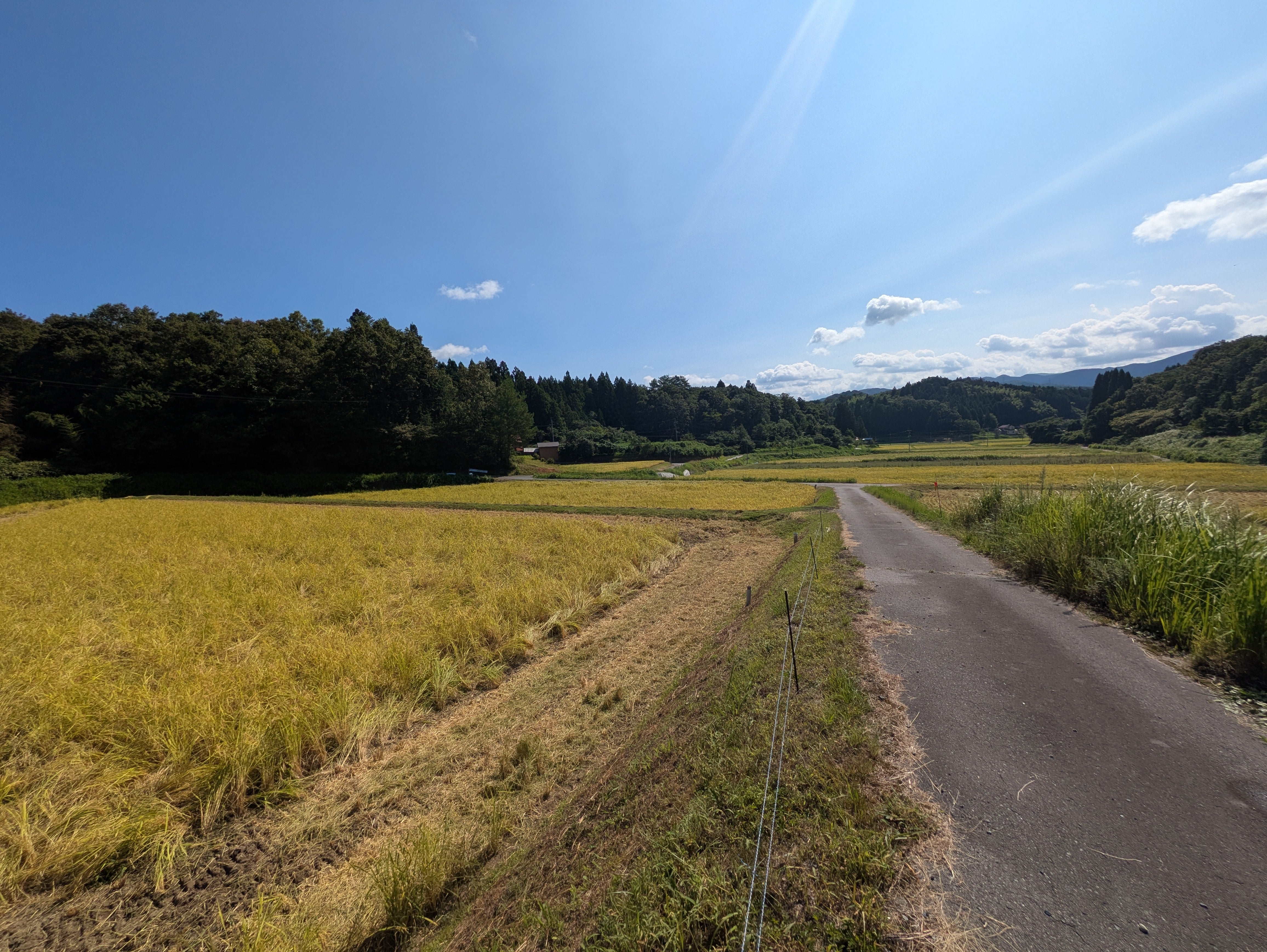特別栽培米秘境奥島根弥栄つや姫　１０ｋｇ