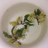 雲南の春香る「クロモジ花茶」